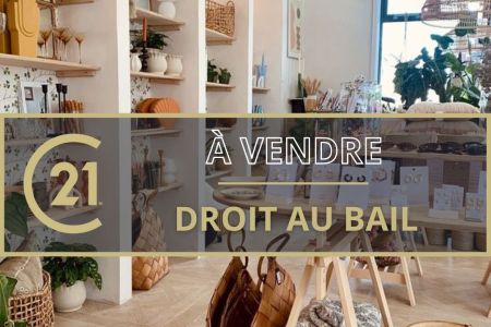 Galerie photo de l'annonce